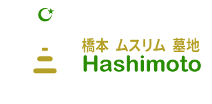 hashiMoto